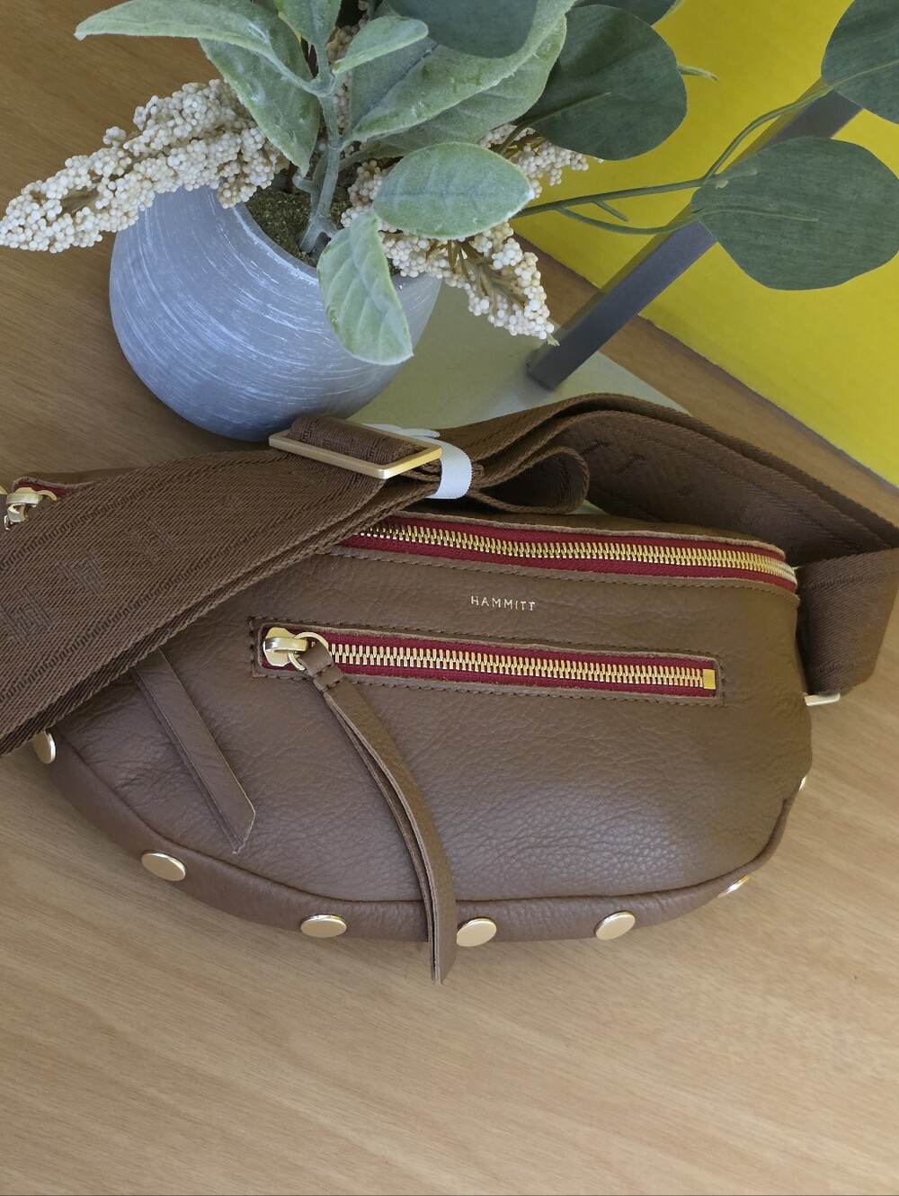 Hammitt Mahogany Leather Crossbody Charle Bag with Gold Hardware and Red Zippers